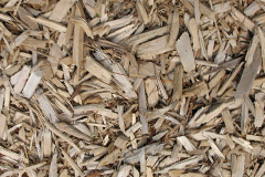 biomass boilers Pandy Tudur